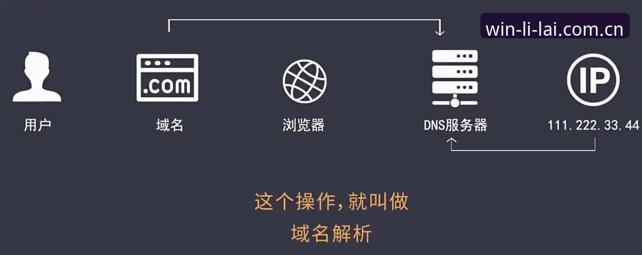 利来官方网站 资深用户分享:利来体育平台使用心得与实战经验,从域名查找到注册登录全流程解析