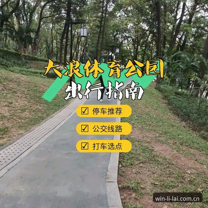 利来体育平台高效直达完整指南：从注册到使用的全流程解析